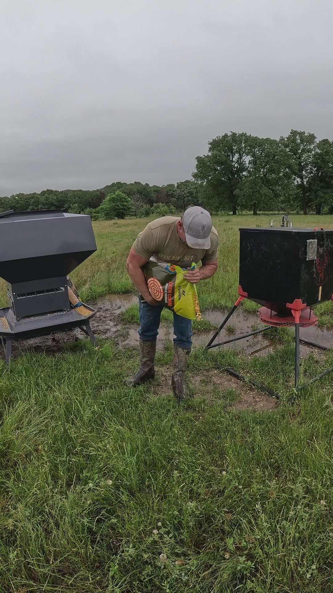 Deer feeders for sale - In the field feeding